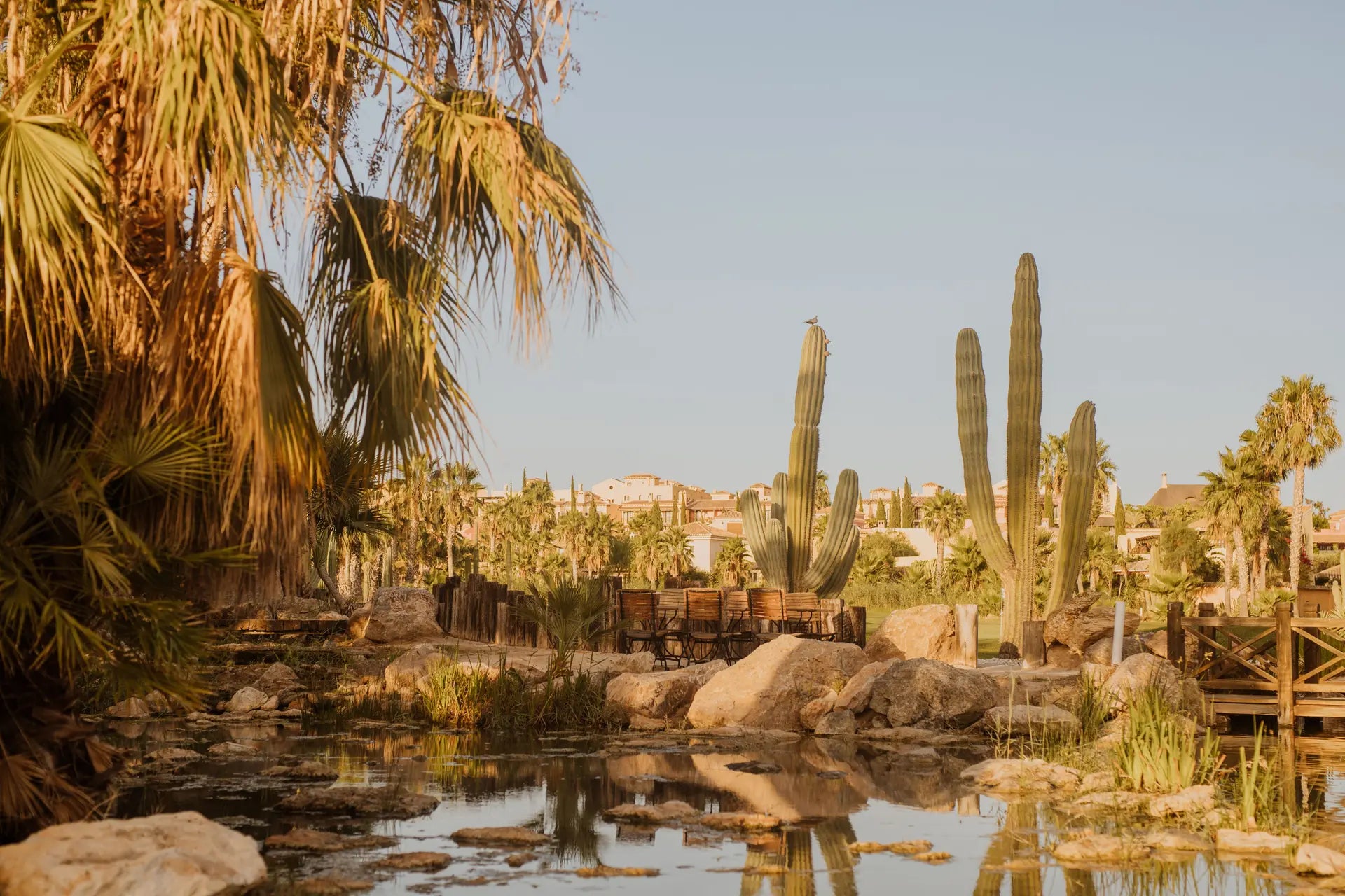 3 Nights Womensonly Desert Springs 8th Oct 2026