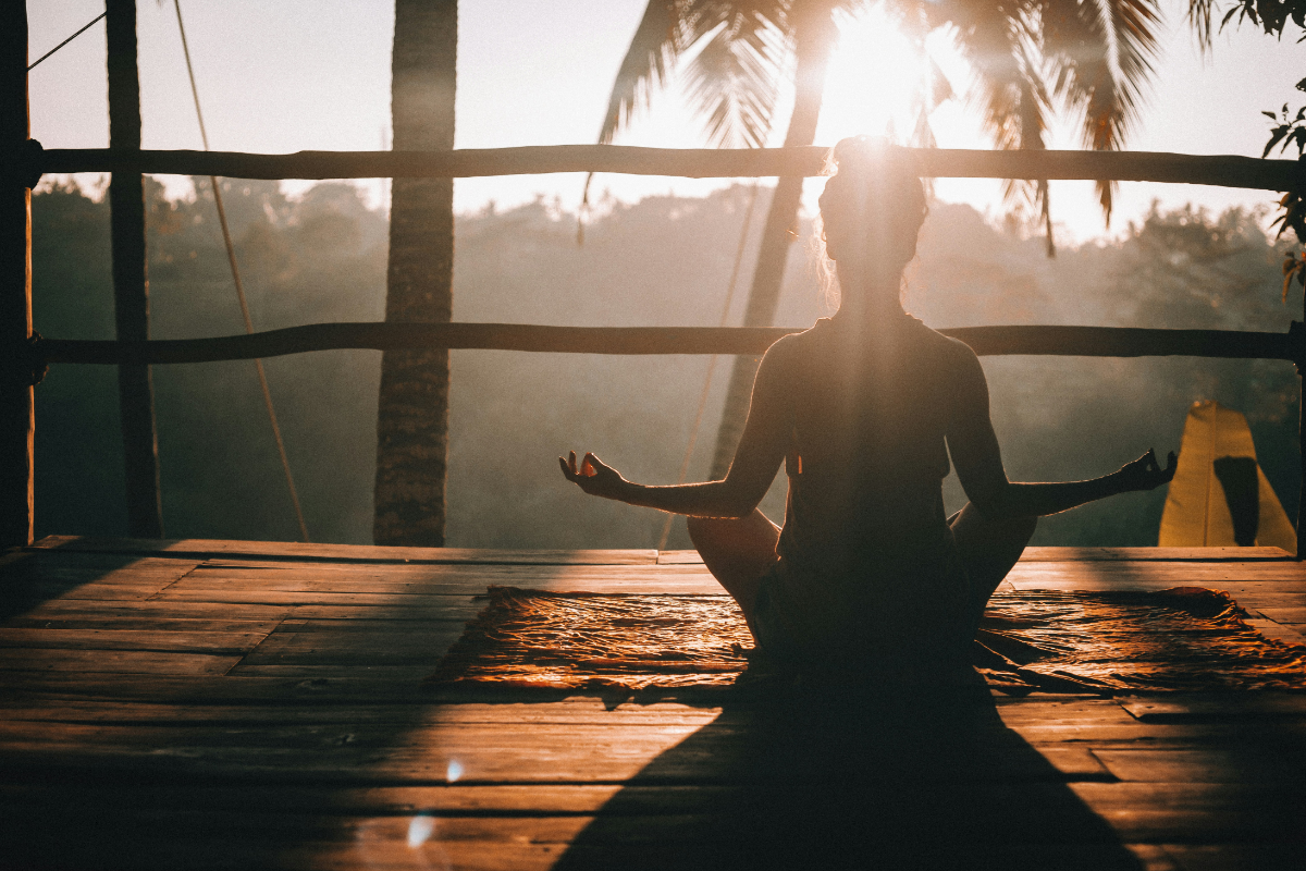 Wellness Collection